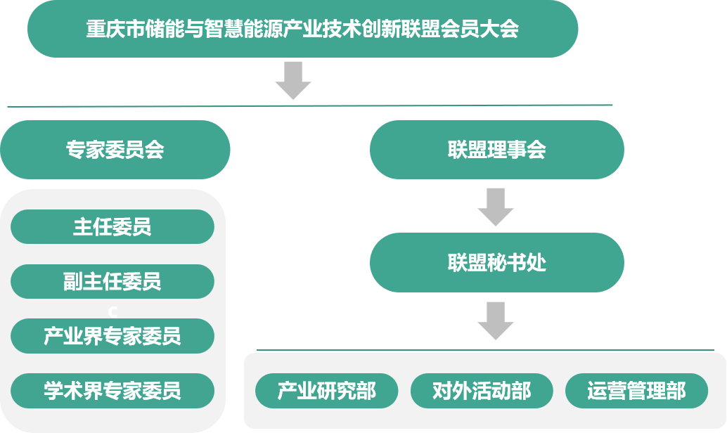 联盟组织架构