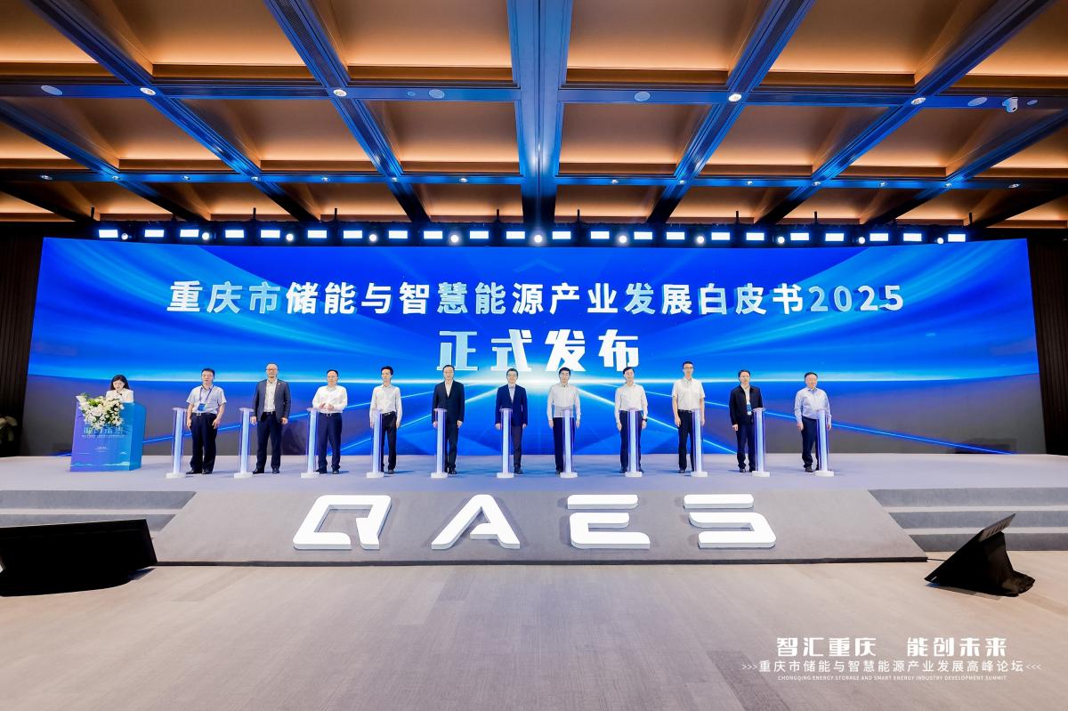 白皮书发布